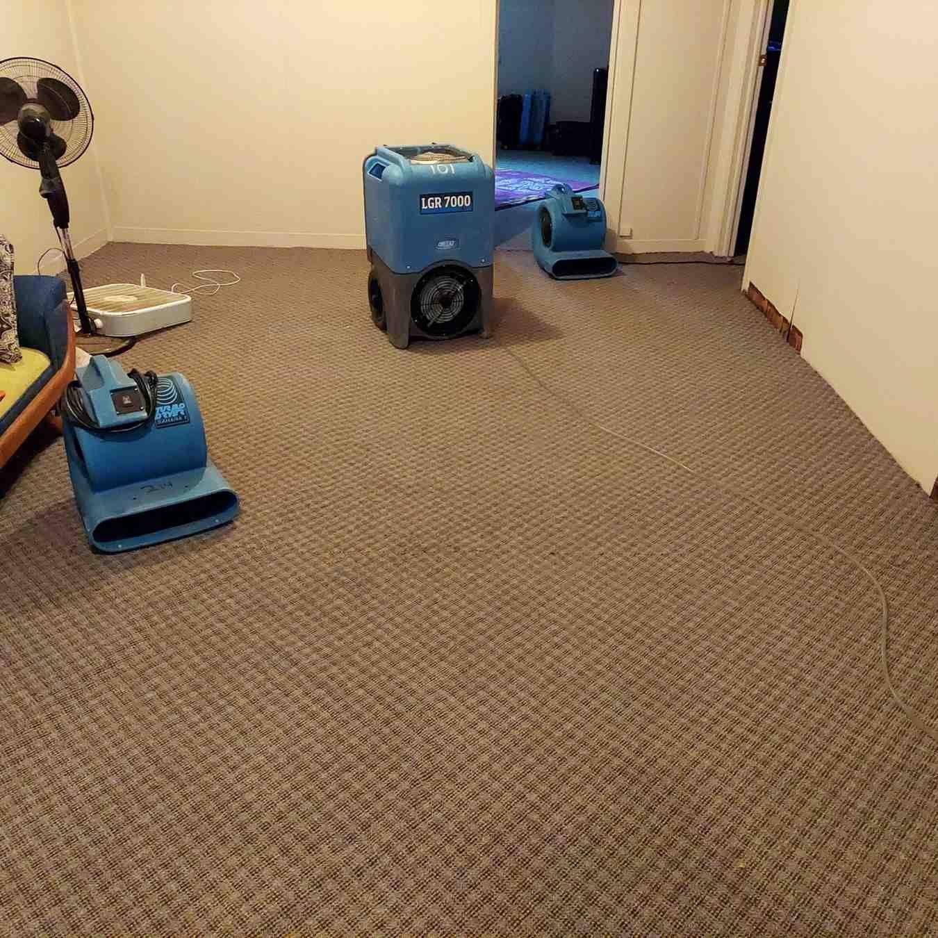Cleaner Carpets for Homes and Businesses