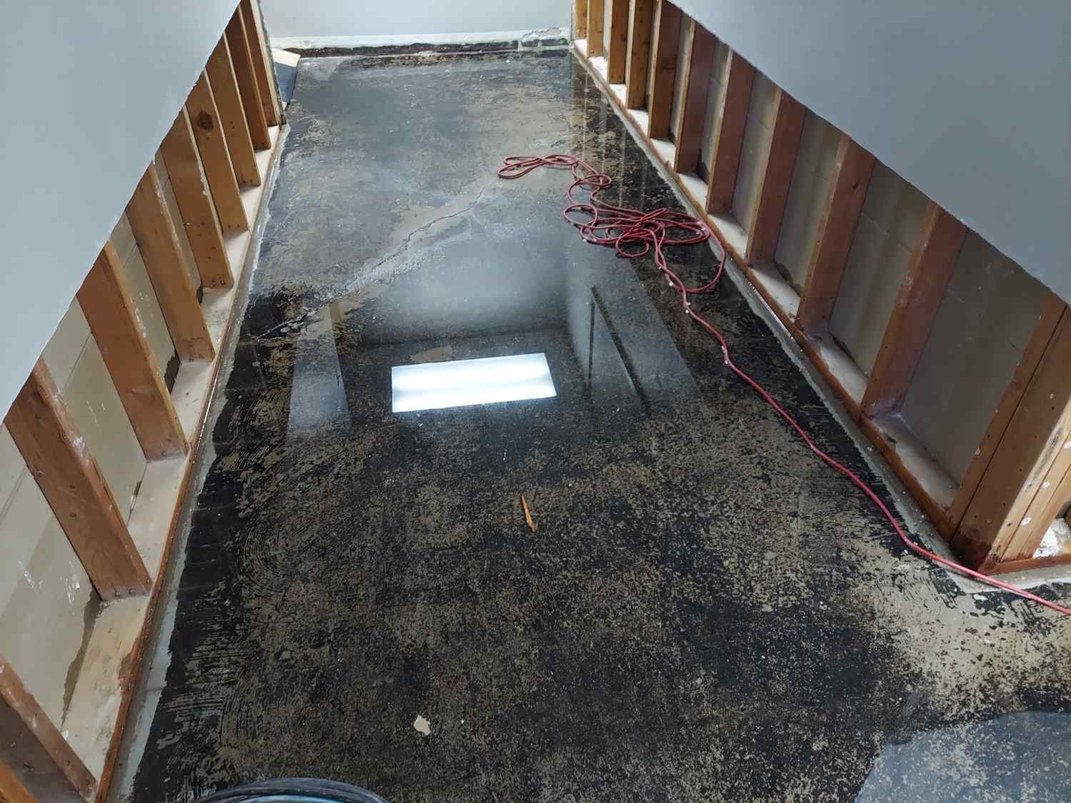 Water Extraction, Structural Drying and Damage Recovery