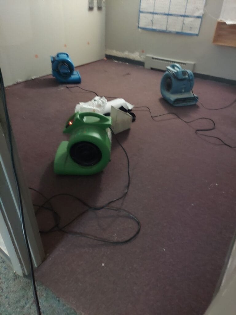 Carpet Cleaning Parker