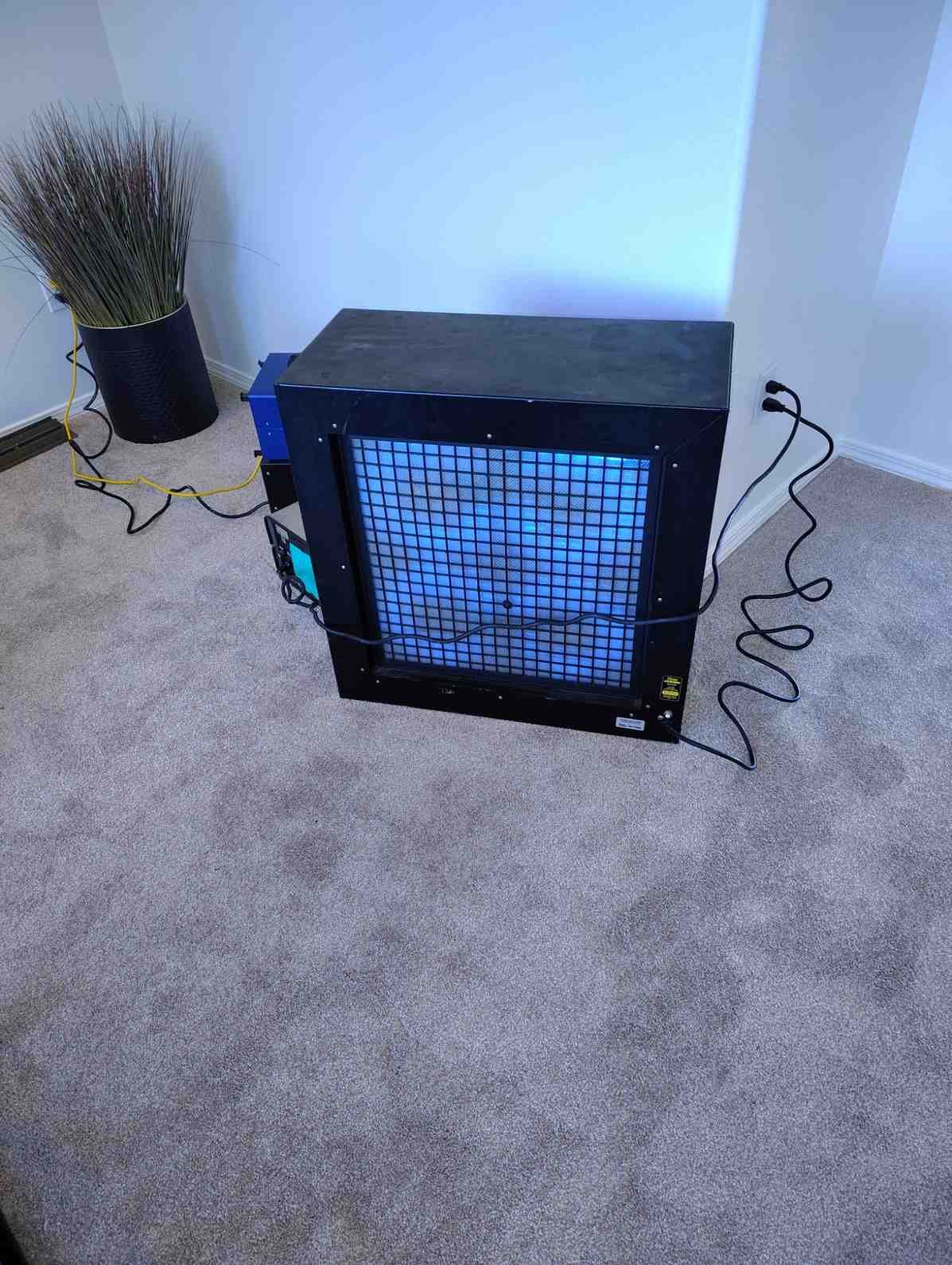 Address Mold and the Moisture Behind It