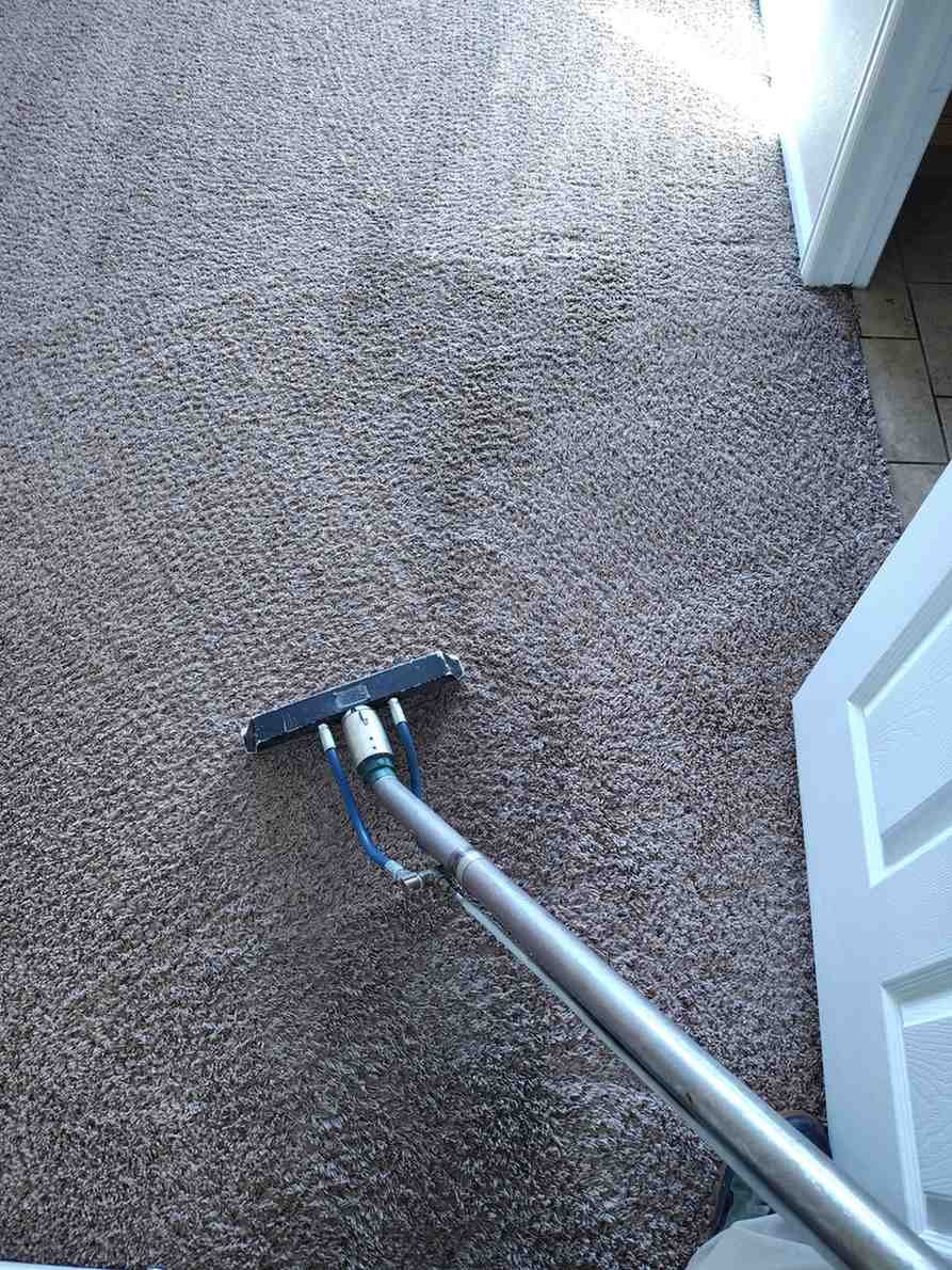 Carpet Cleaning Services in Centennial