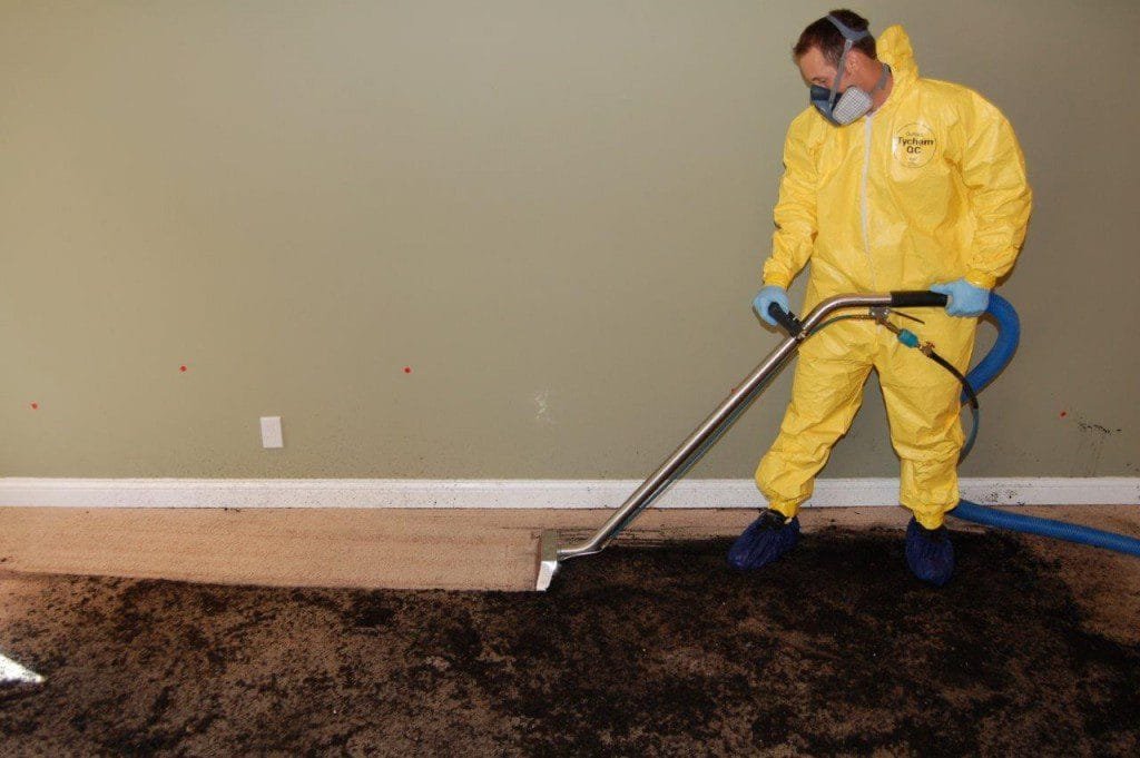 Carpet Cleaning Parker – Trusted Experts for Spotless Floors