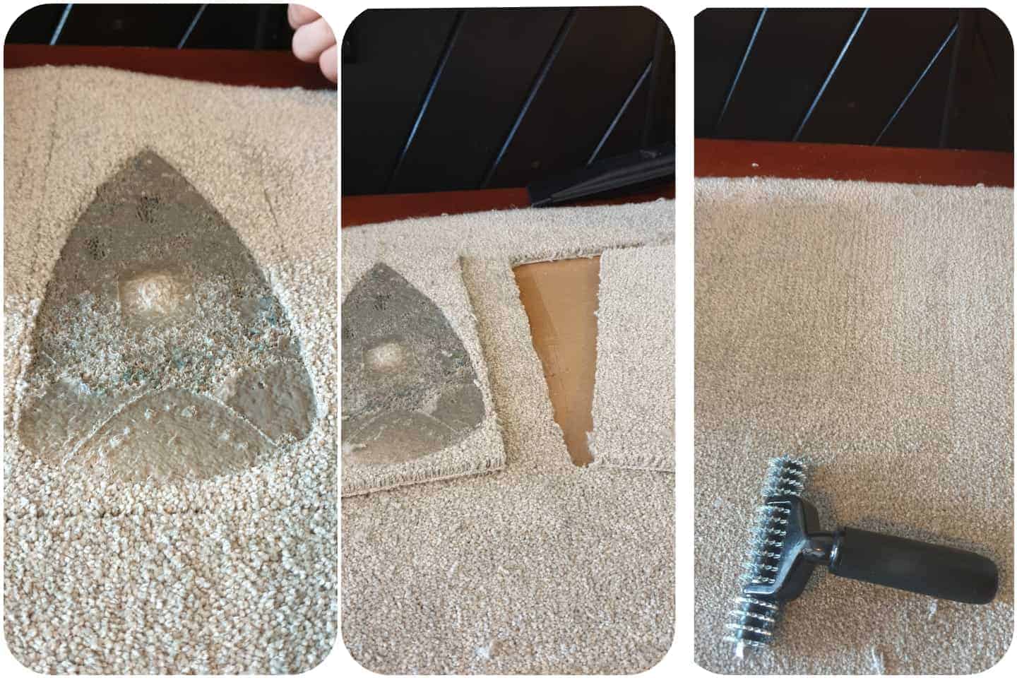 Commercial Carpet Cleaning Parker – Keeping Businesses Spotless