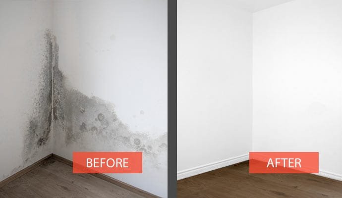 black mold remediation before and after