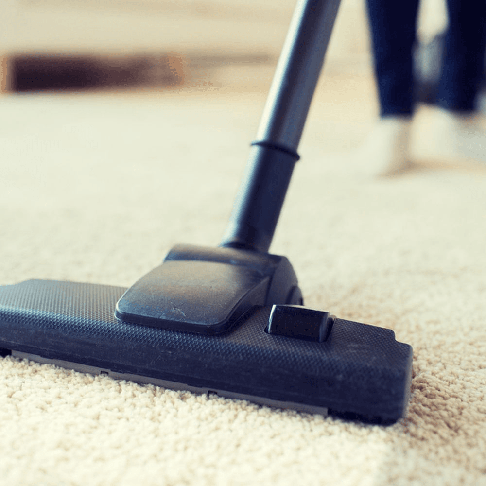 carpet cleaning services